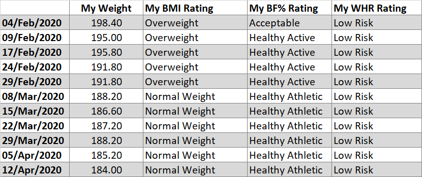 A table listing the ratings for my Body Mass Index, Body Fat Percentage, and Waist to Hip ratio.